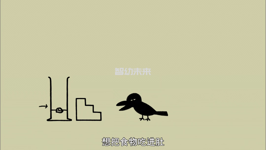 日本NHK科教纪录片《像乌鸦一样思考 Think Like a Crow》20集全MP4格式百度网盘下载